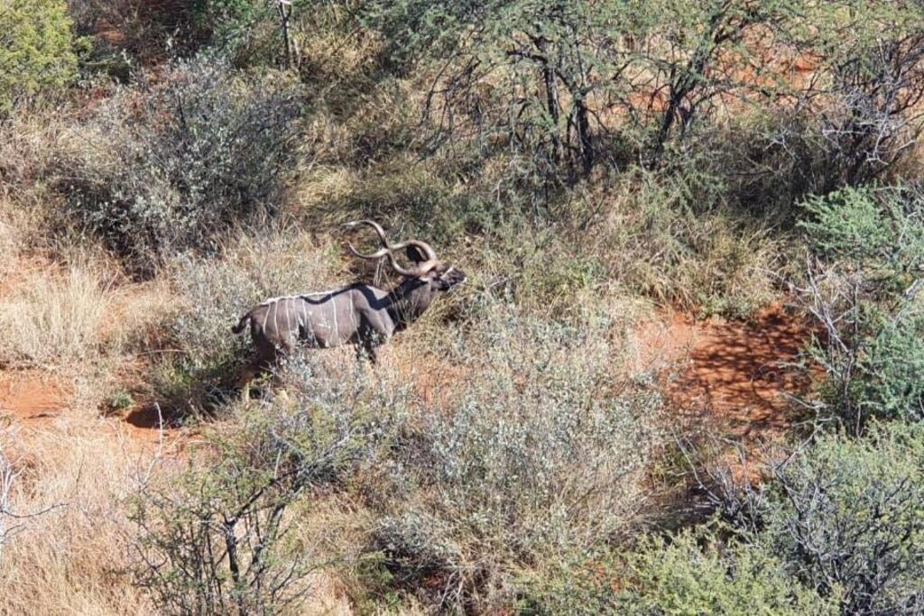 Boabab Lodge Mabula Game Reserve Esterno foto